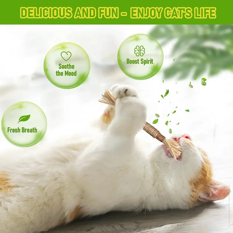 Natural Cat Chew Toy – Reduce Boredom, Support Cleaner Teeth