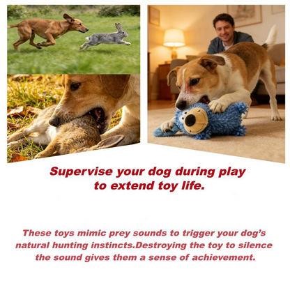 Squeaky Dog Plush Toy🐕