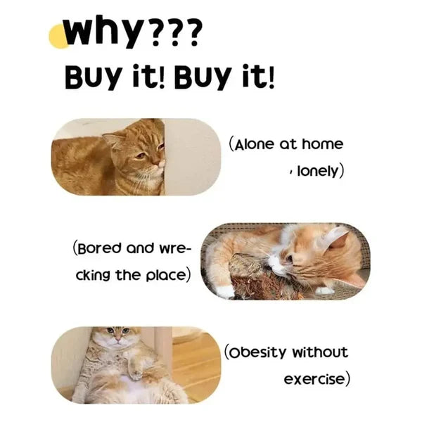 The Butterfly Toy Cats Can't Stop Chasing