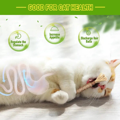 Natural Cat Chew Toy – Reduce Boredom, Support Cleaner Teeth