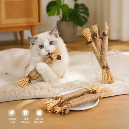 Natural Cat Chew Toy – Reduce Boredom, Support Cleaner Teeth