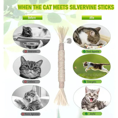 Natural Cat Chew Toy – Reduce Boredom, Support Cleaner Teeth
